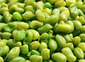 Soya